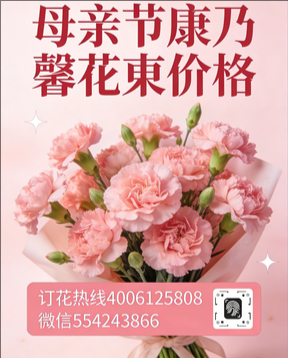 潍坊青州市花店母亲节康乃馨花束